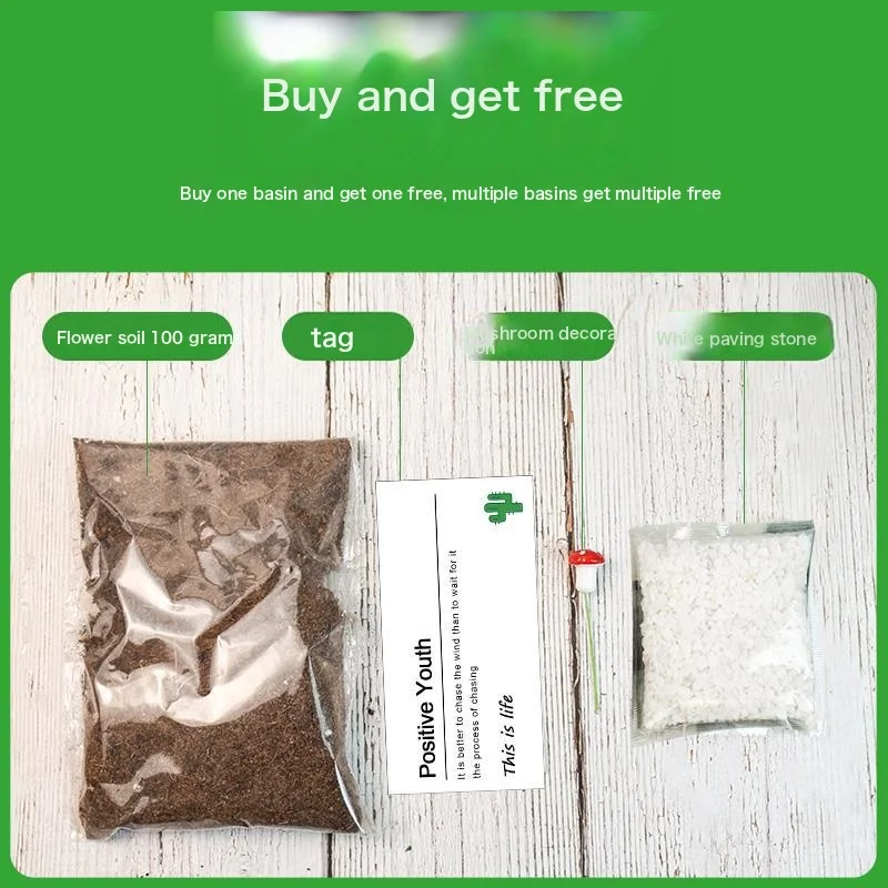 Glass Flower Pot Meat Can Bring Holes Transparent Hydroponic Plant Bottle Nordic Wind Office Desktop Decorative Flower Gangue Cylindrical