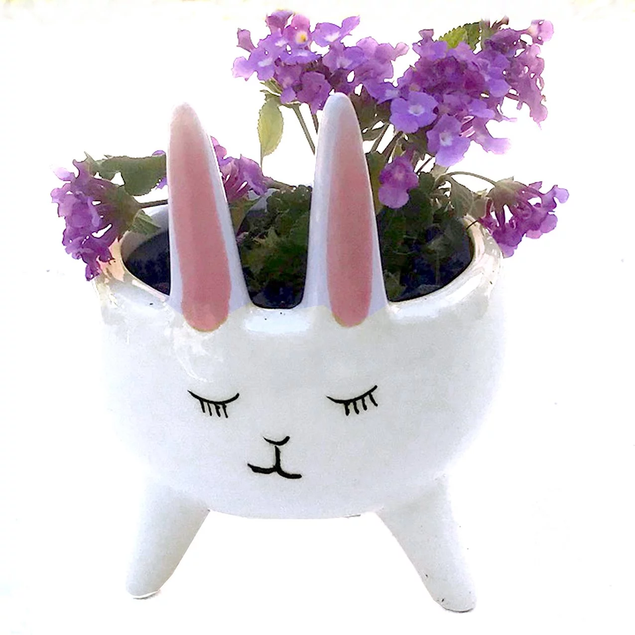Planter for Succulent Plant Ceramic Plant Pots Indoor, Novelty Planters for Home Office Garden White Bunny Mini, 1