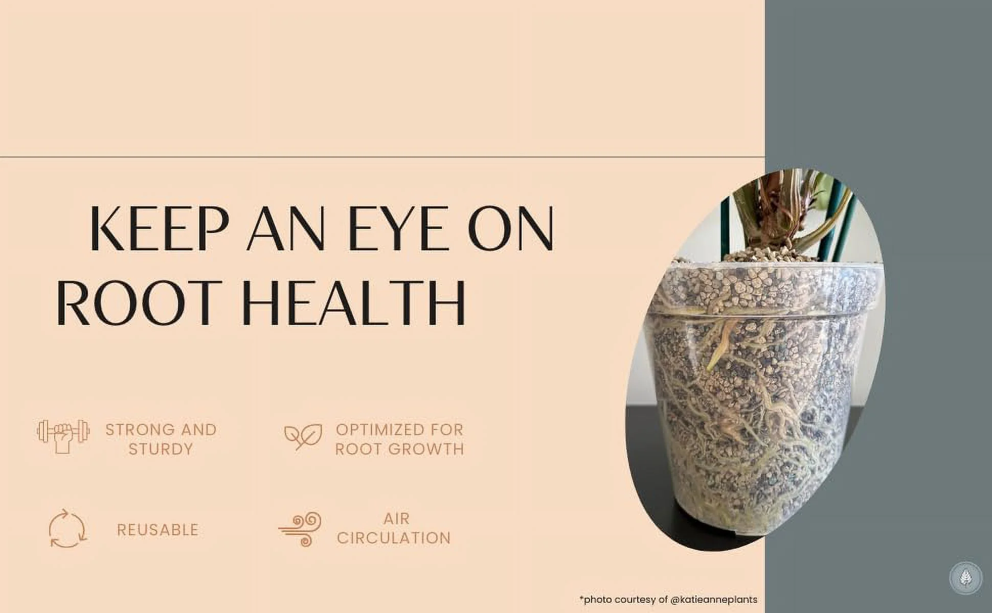 karenplantsplants™ 4