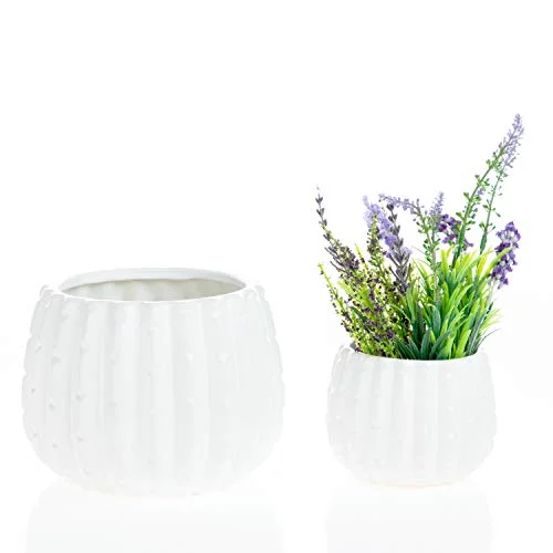 White Cactus Ceramic Pot | Modern Pot Decor for Home or Office (7