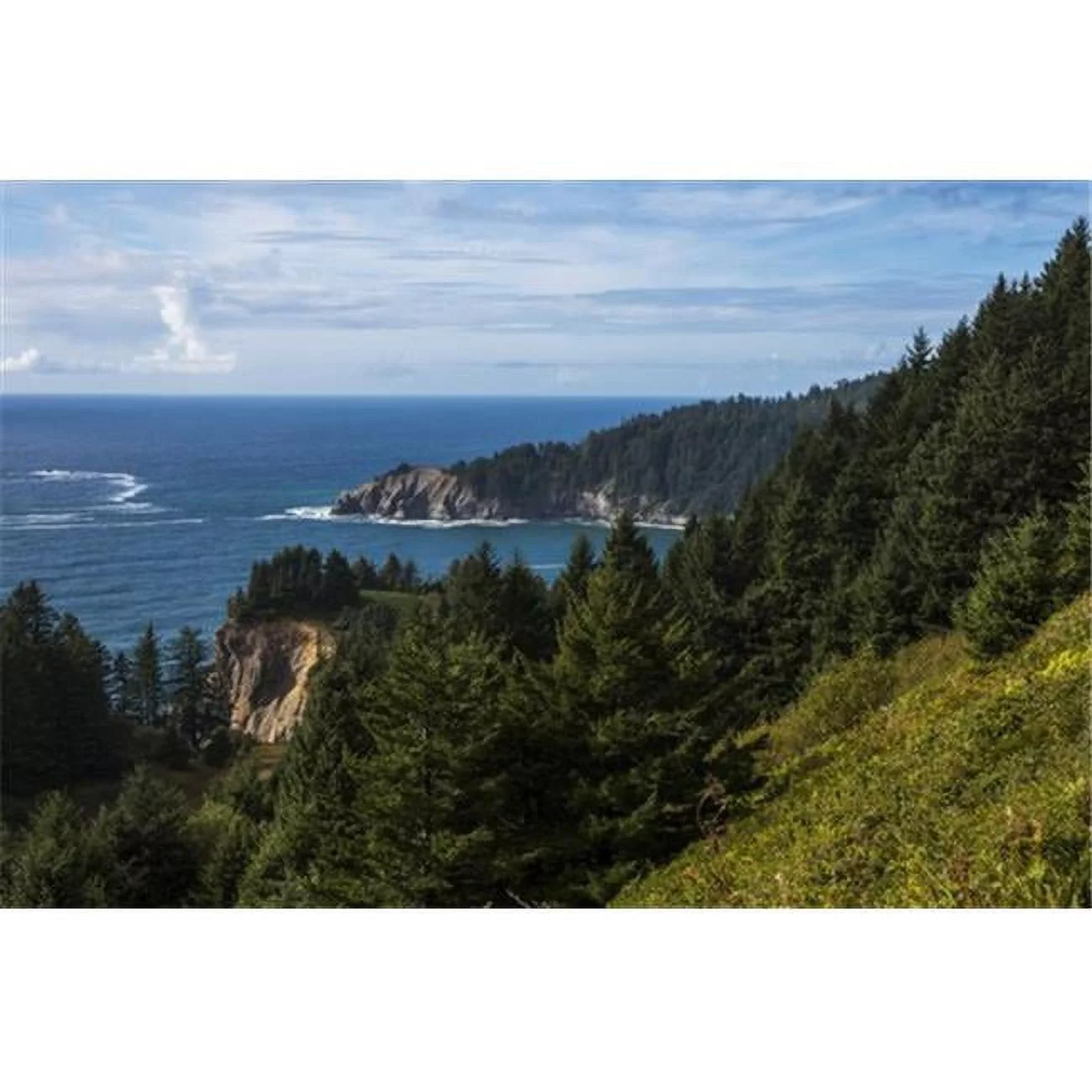 Cape Falcon Extends into The Pacific Ocean - Manzanita Oregon United States of America Poster Print by Robert L.Potts, 38 x 24 - Large