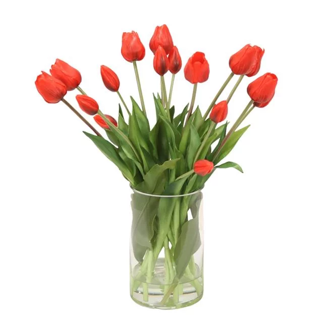 Unisex Red Tulips in Glass Cylinder