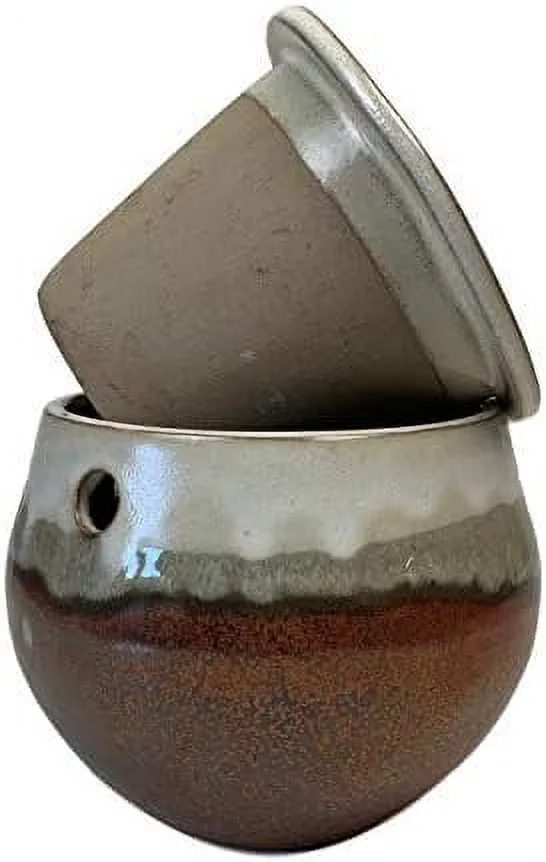 6 inch self watering teardrop african violet (honey cream over copper)