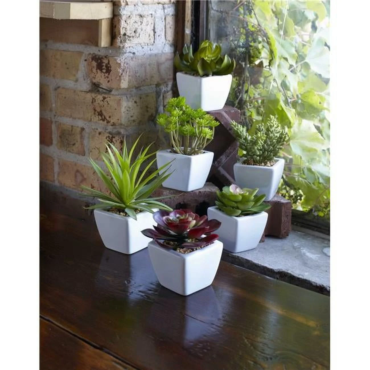 DS 7 in. Ceramic & Plastic Potted Succulent, Green & Burgundy - Set of 6