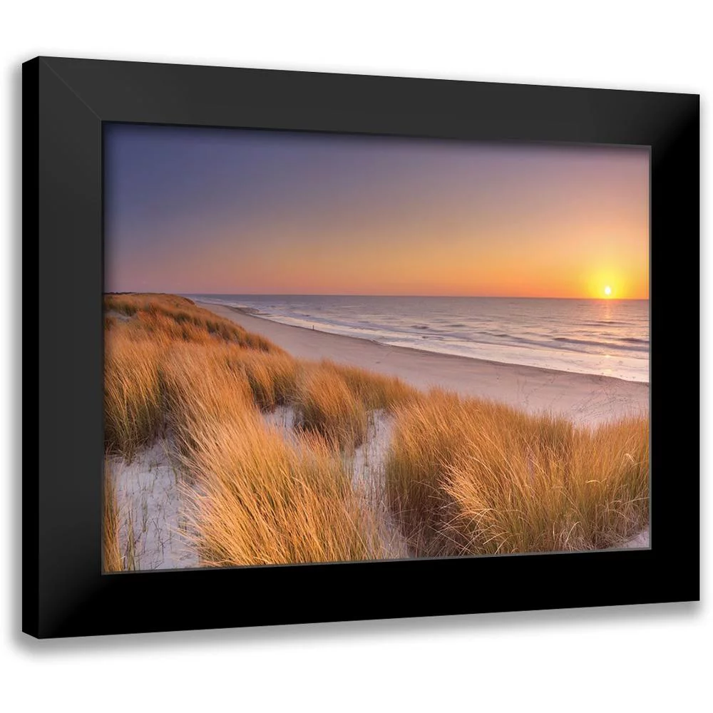 Winter 14x12 Black Modern Framed Museum Art Print Titled - Flowing Copper Beach Grass