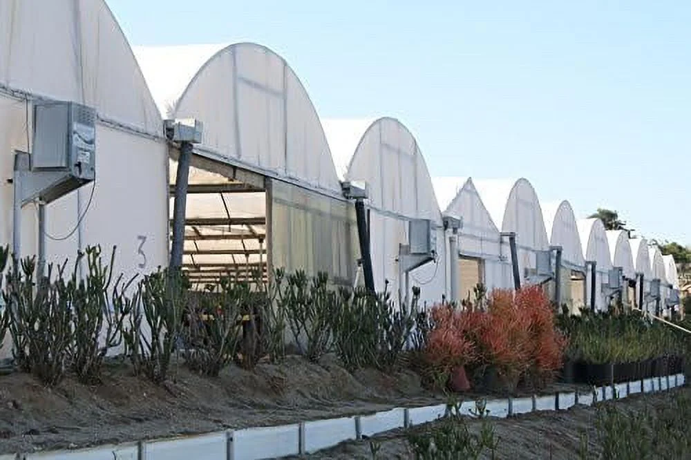 Greenhouse White Plastic Film ethylene Covering Gt4 Year 6 Mil 12Ft Wide X 25Ft Long