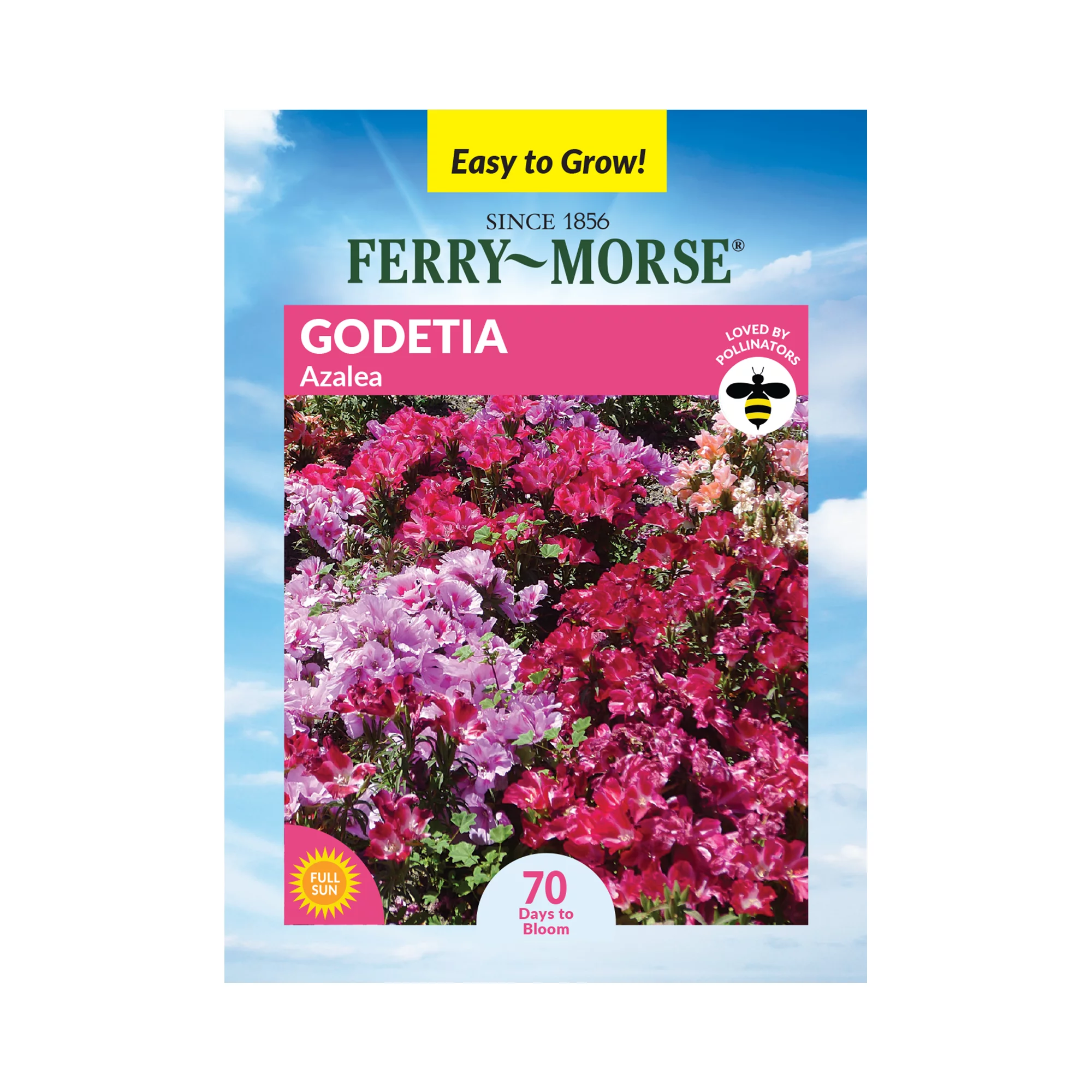 Ferry-Morse 100MG Godetia Azalea Annual Flower Seeds Full Sun