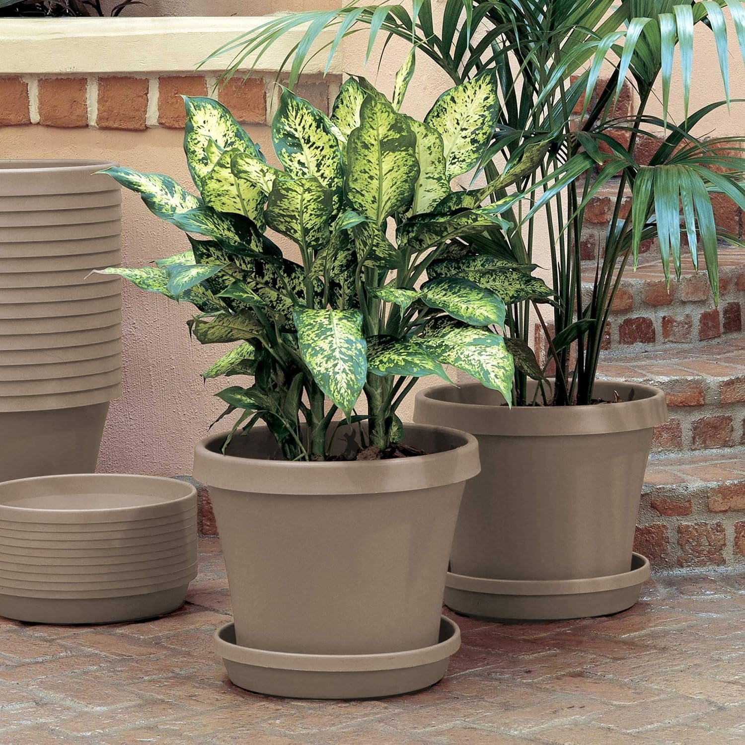 Bloem TR0883 Terra Plastic Pot Planter 8