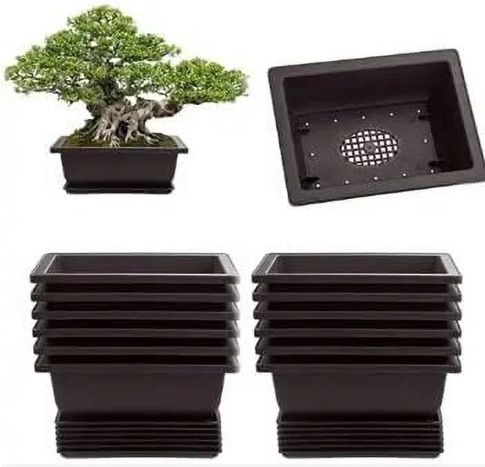 6 Inch Bonsai Pots And Drip Trays - Starter Bonsai Pots, Small Bonsai Pots (12 Pots)