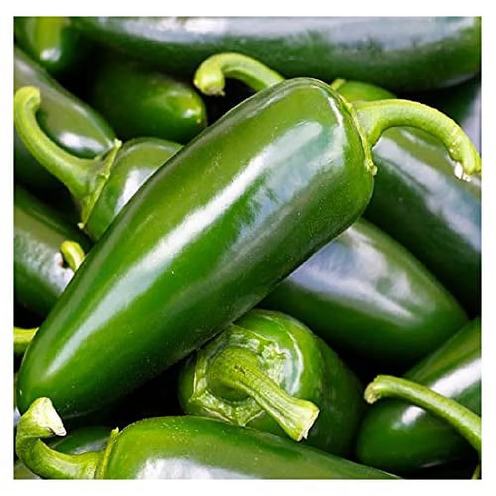 100 Tam Jalapeno Pepper Seeds | Non-GMO | Fresh Garden Seeds | Instant Latch
