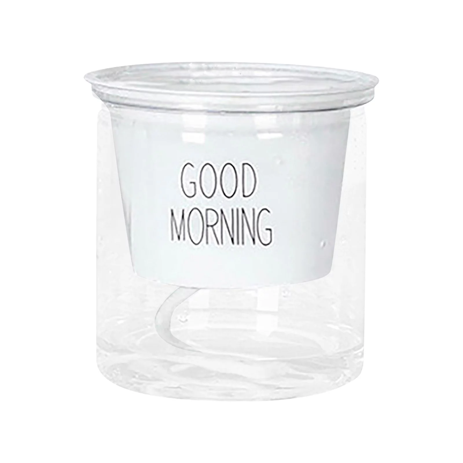 BNNG Self Watering Planter, Pot for Plant Indoor Outdoor, Plastic Self Watering Pots with Deep Reservoir, Plant Pots for All House Plants, Flowers, African Violets, Transparent Succulent Flower Pot