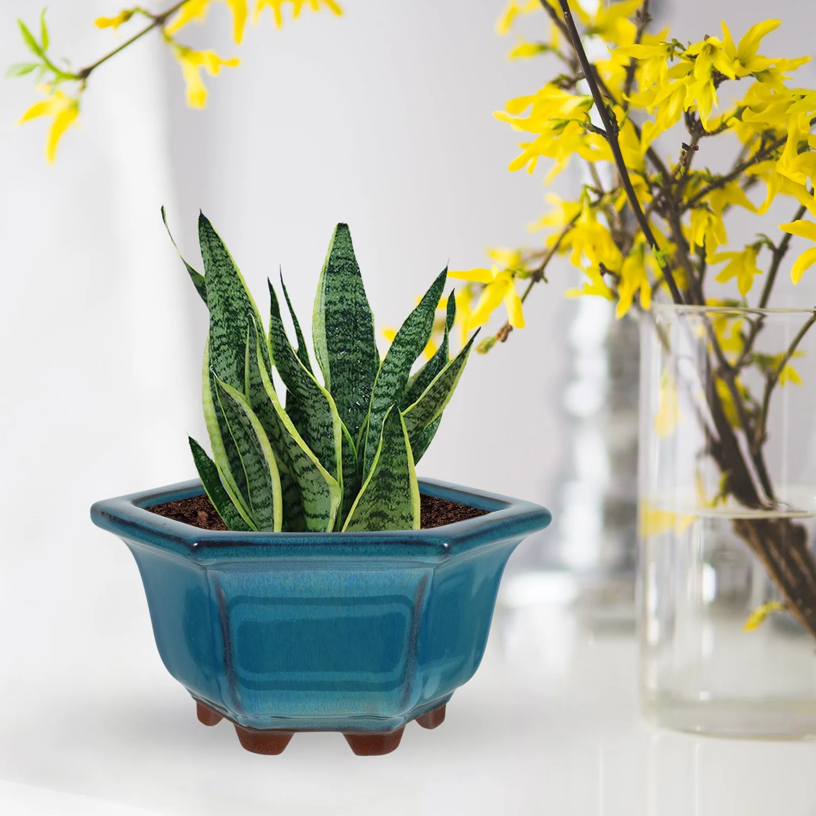 Gongxipen Simple Glazed Plant Pot Ceramic Succulent Flower Pot Home Bonsai Container