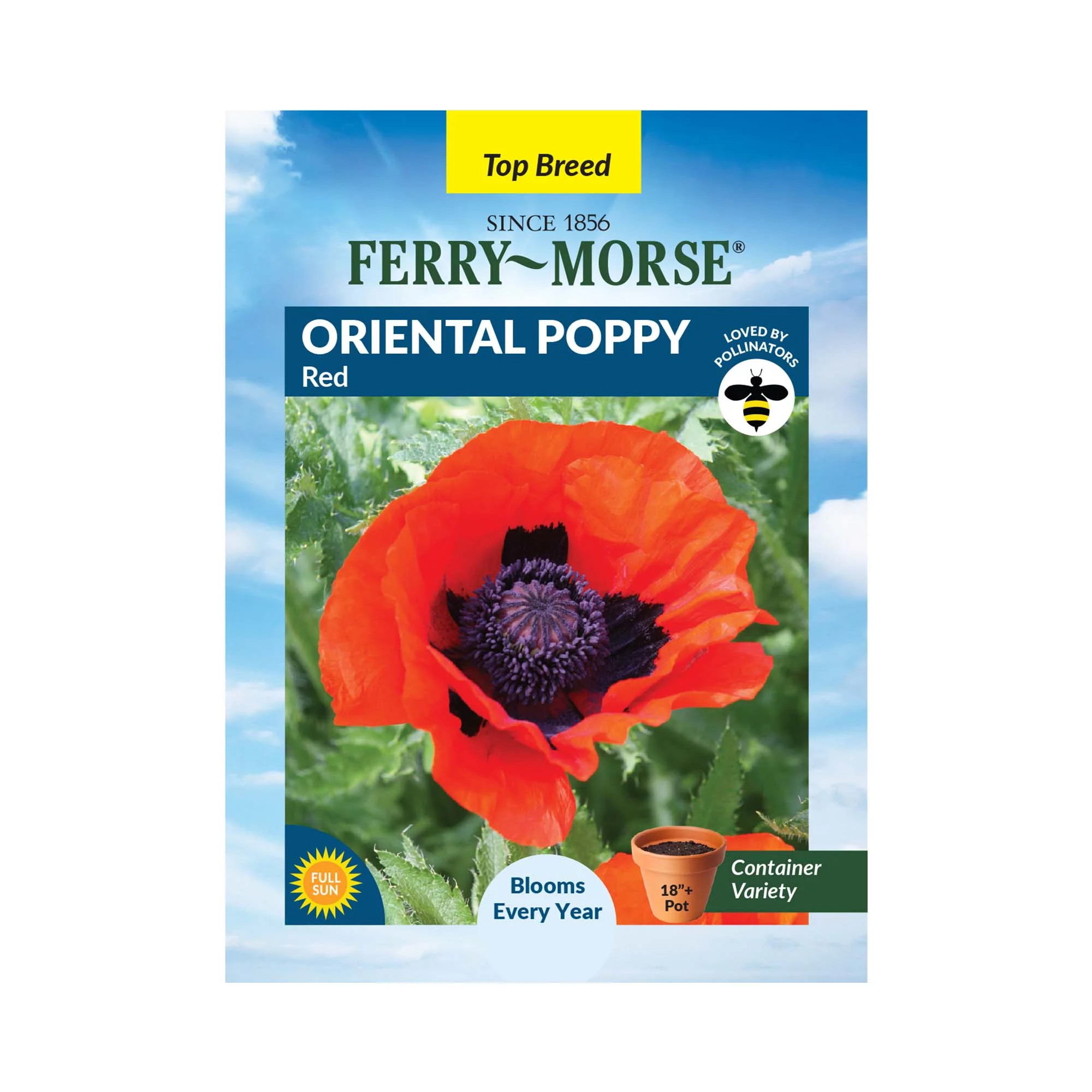 Ferry-Morse 160MG Poppy Oriental Red Perennial Perennial Flower Seeds Full Sun