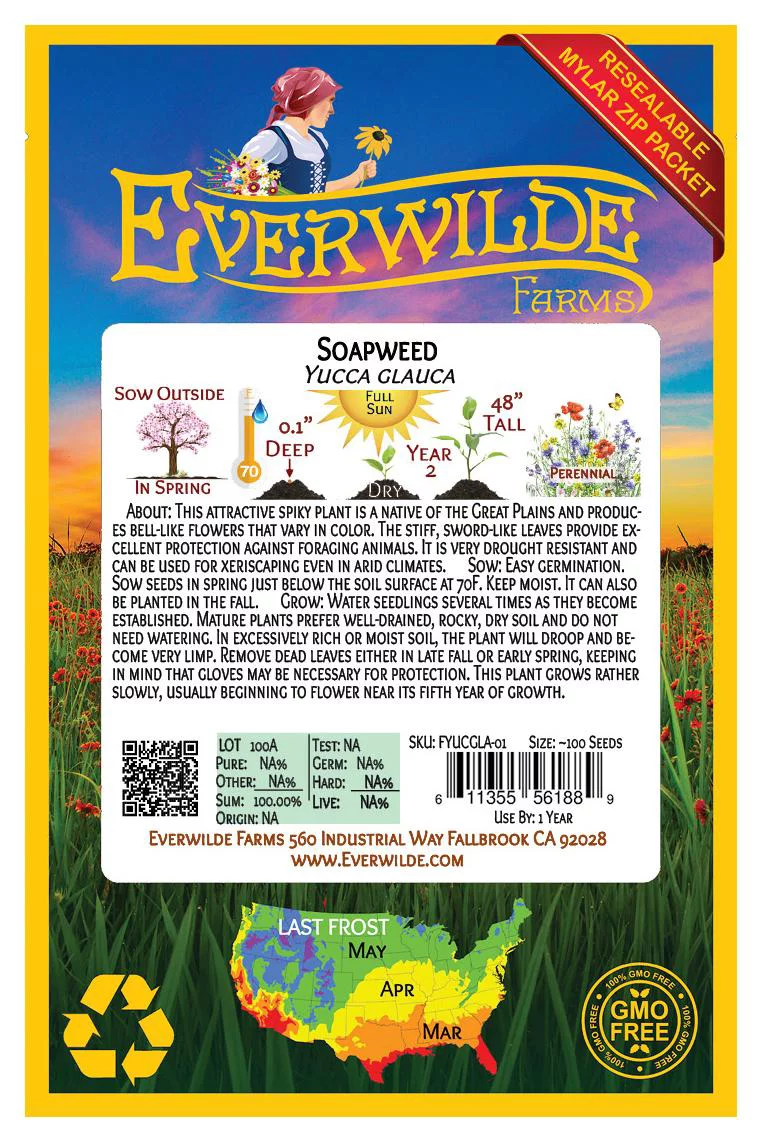Everwilde Farms - 50 Soapweed Native Wildflower Seeds - Gold Vault Jumbo Bulk Seed Packet