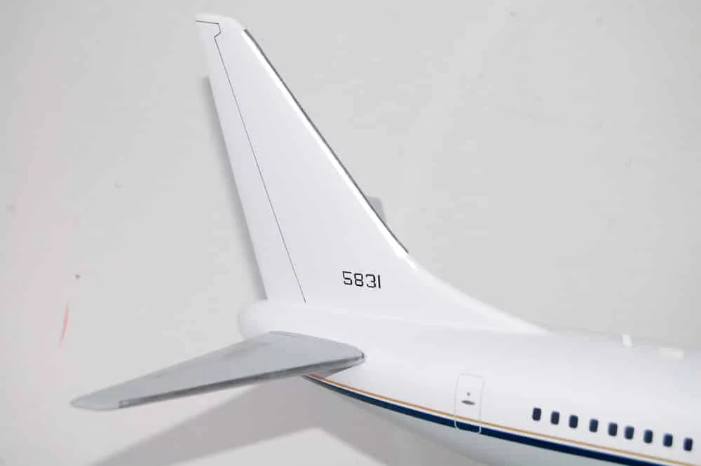 VR-59 Lone Star Express C-40a Clipper Model, 1/74th  (18