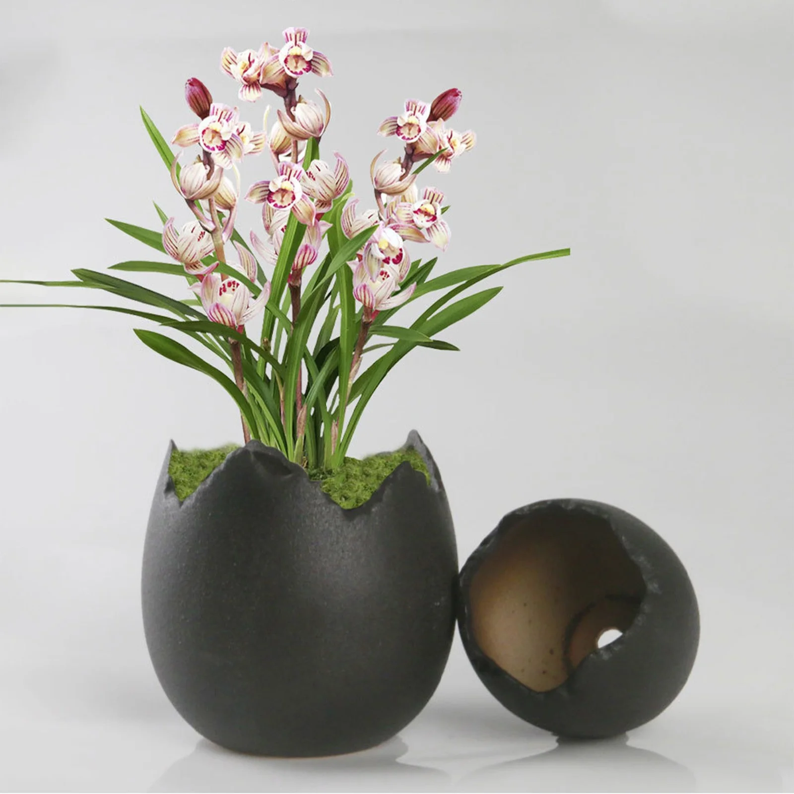 Bnnlsa Plant Pots with Drainage Meaty Flowerpot Ceramic Potted Rough Pottery Breathable Simple Personality Eggshell Meat Plant Old Pile Flowerpot