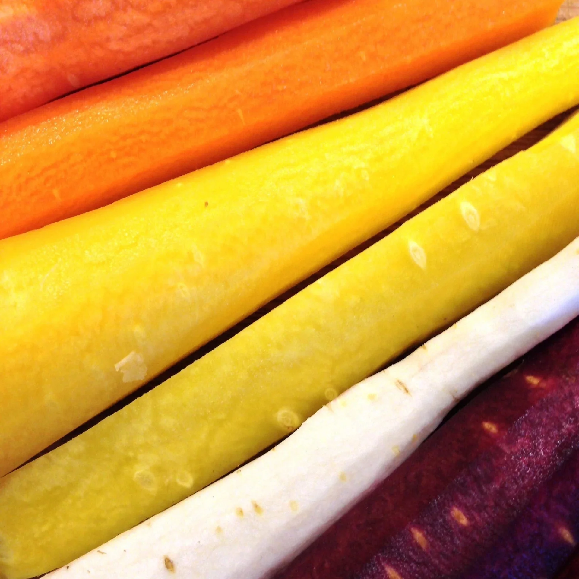 300 SOLAR YELLOW CARROT Daucus Carota Vegetable Seeds