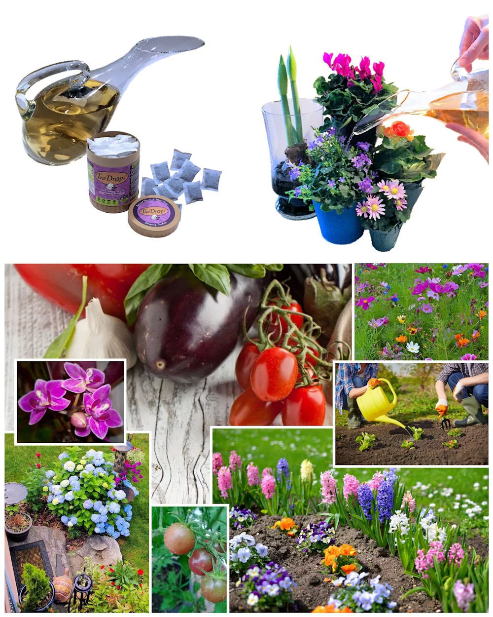 TeaDrops® SEEDLING + TRANSPLANT Organic Liquid Fertilizer Packets (16 Count)