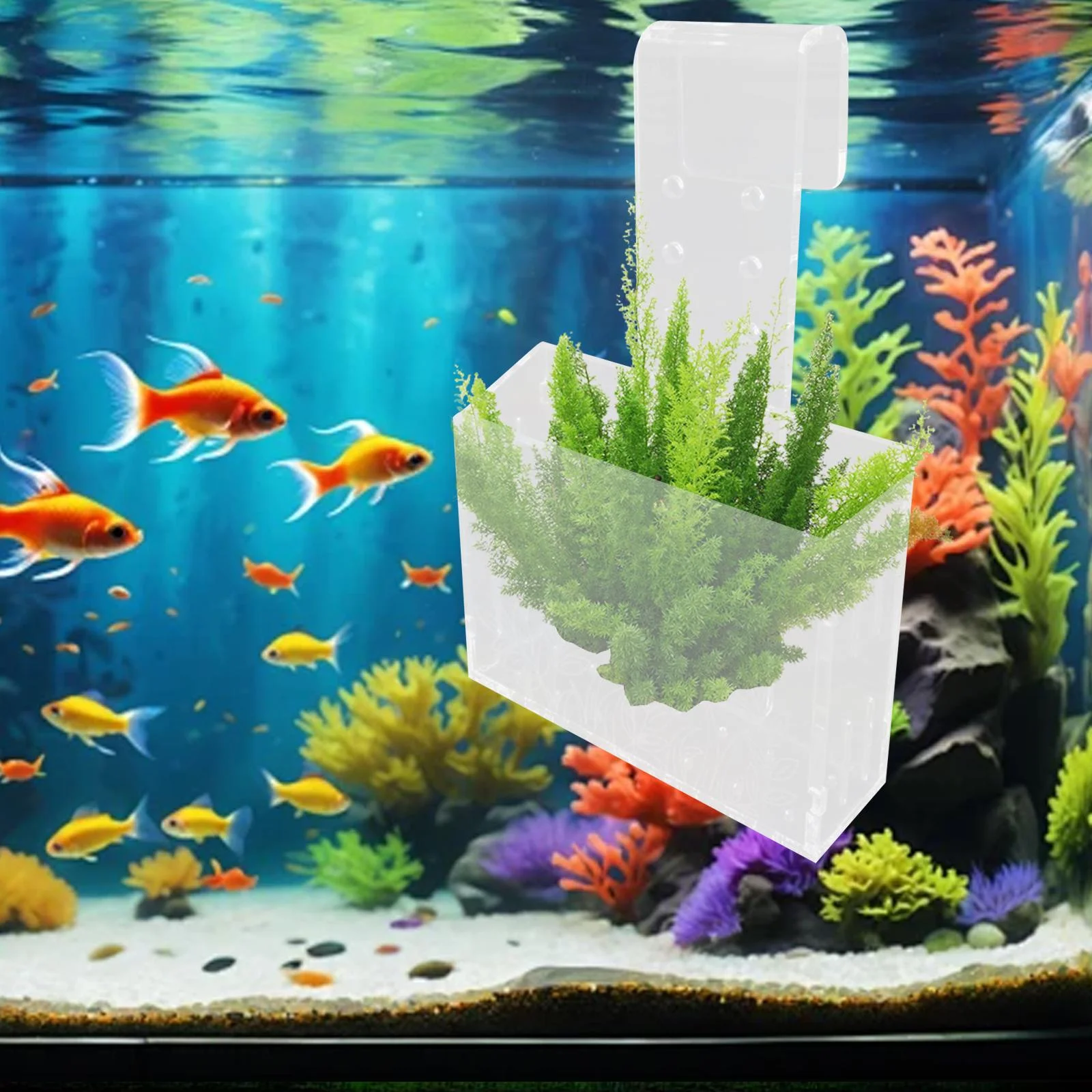 DOLITY Aquarium Plant Cup Transparent Container Hanging Landscape Aquatic Plant Pot