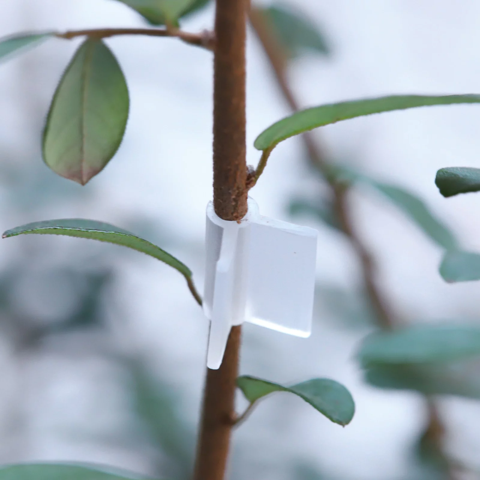 Clips Seedling Gardening Tools Grafting PCS Clips Mini Growing 100 Patio & Garden