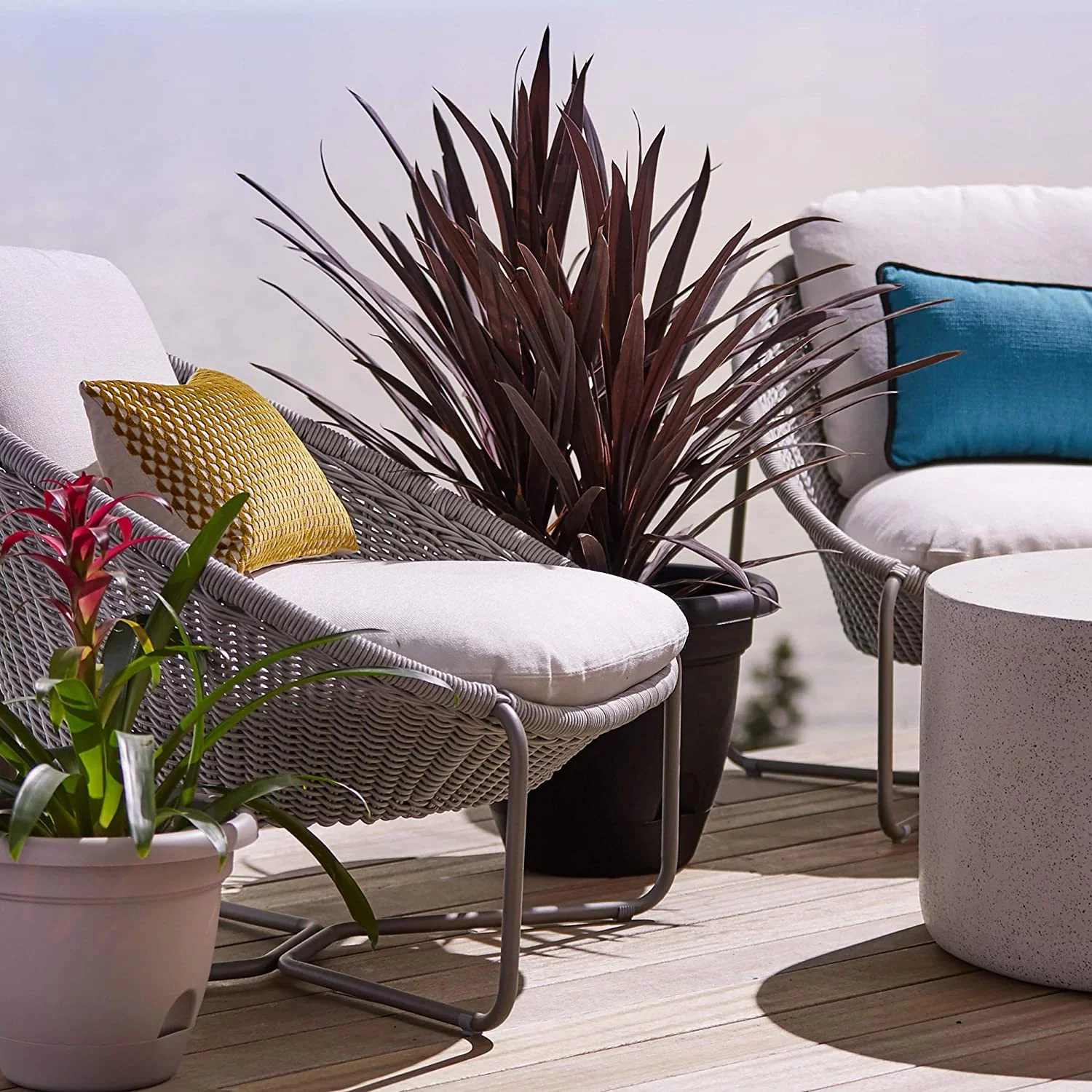 WJUN Lucca Self Watering Planter w/Saucer (LP1400), Black, 14