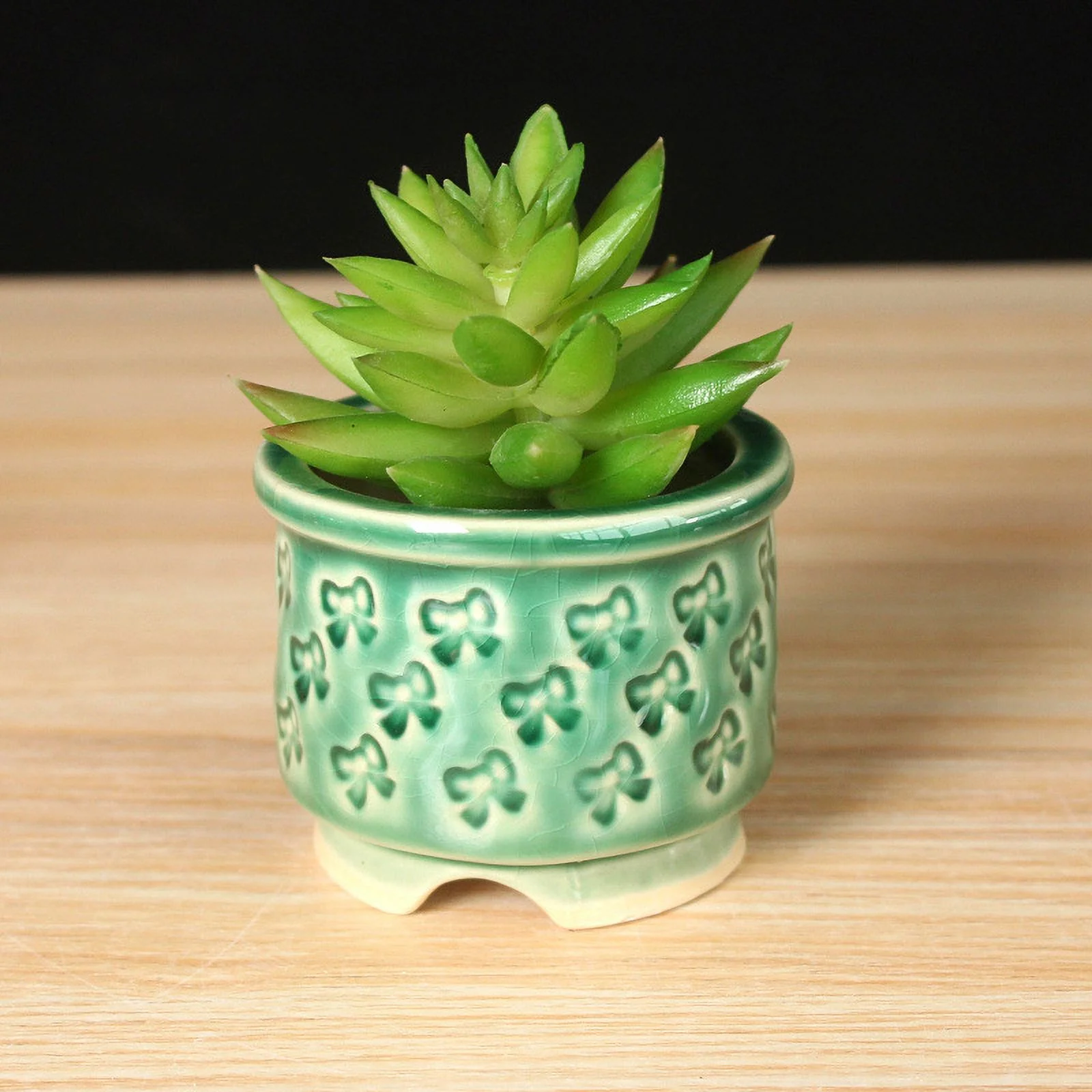 LivNxt Ceramic Succulent Planter with Crackle Glaze - Thumb Pot, Creative Handcrafted Pot