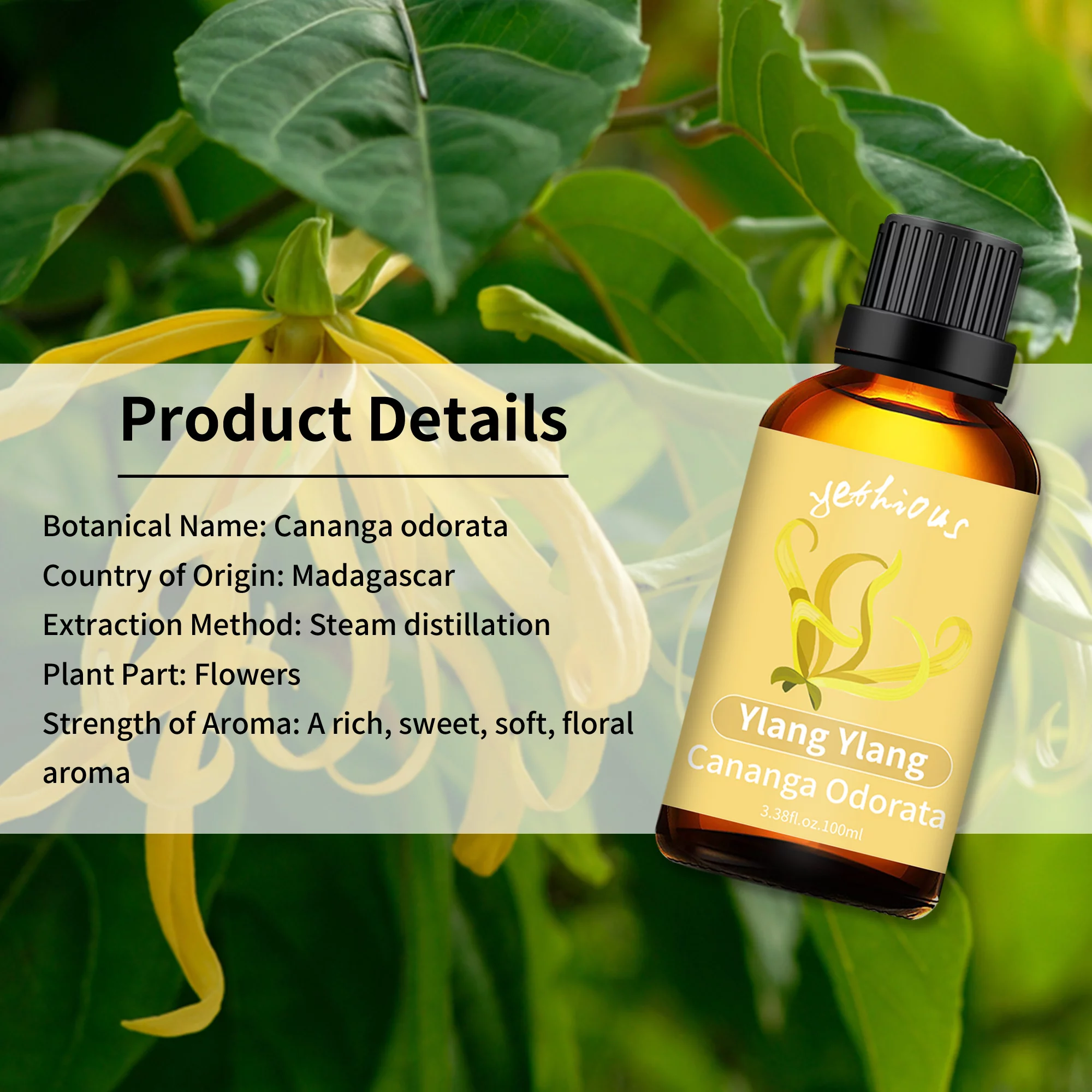 Yethious Jasmine, Ylang Ylang Essential Oil 100% Pure, Undiluted, Natural, Aromatherapy 100ml