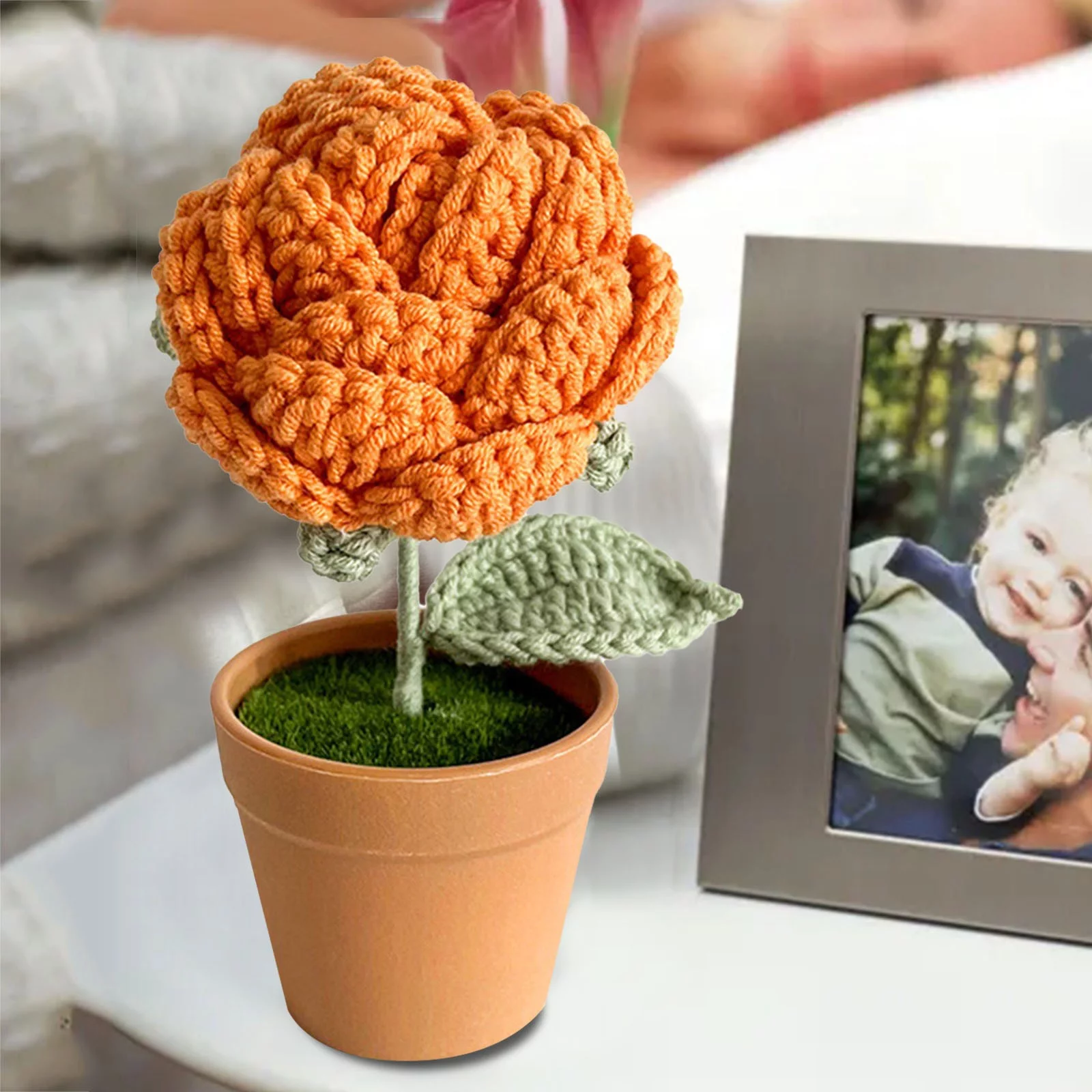 Flower Pot Outdoor Indoor Planter Hand Woven Flower Rose Potted Creative Desktop Bedroom Decoration Decoration Immortal Flower Finished Product