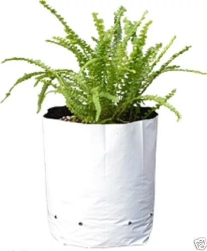 20 Gallon Bay Hydro Black & White Grow Bags 