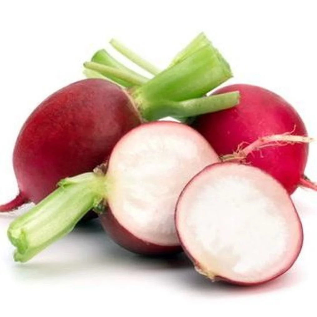 Early Scarlet Globe Radish Seeds/ Annual/ Full Sun/ 44K Seeds 1lb/ Zellajake Farm and Garden - B119