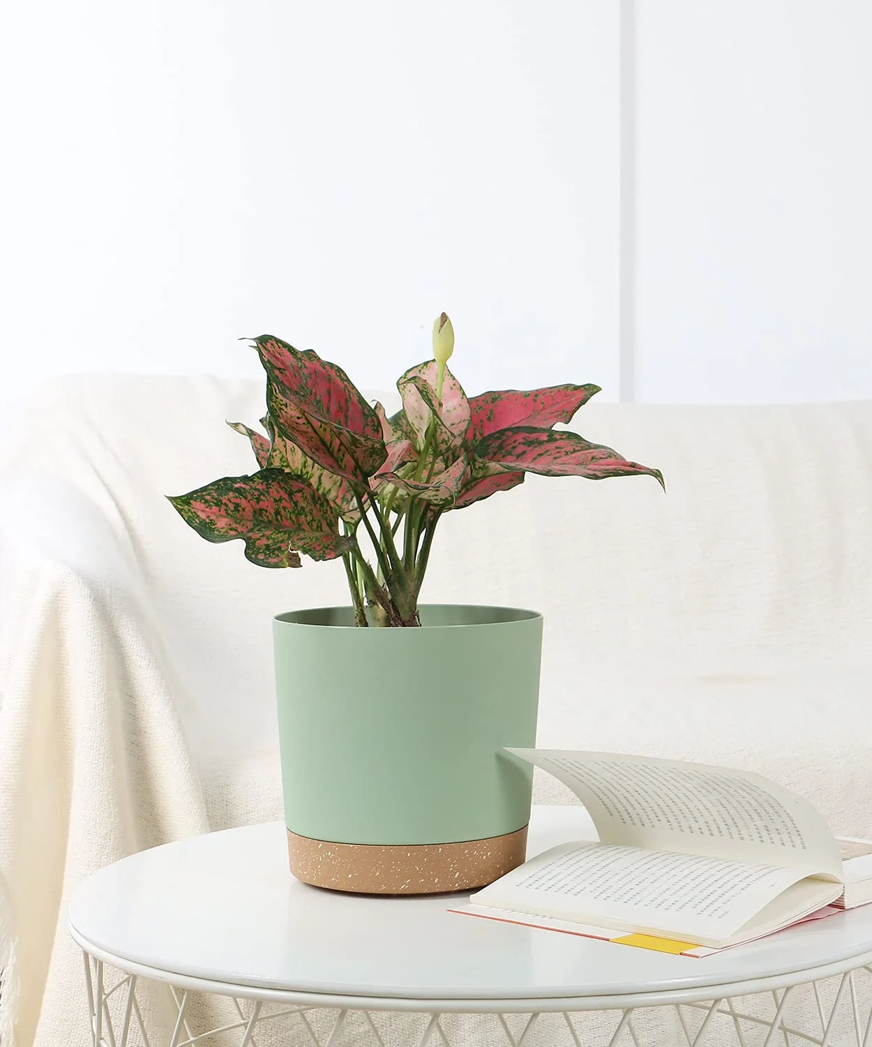 Modern Decorative Plant Pot With Drainage Holes and Saucer indoor/Outdoor, 8in (Mint Green)