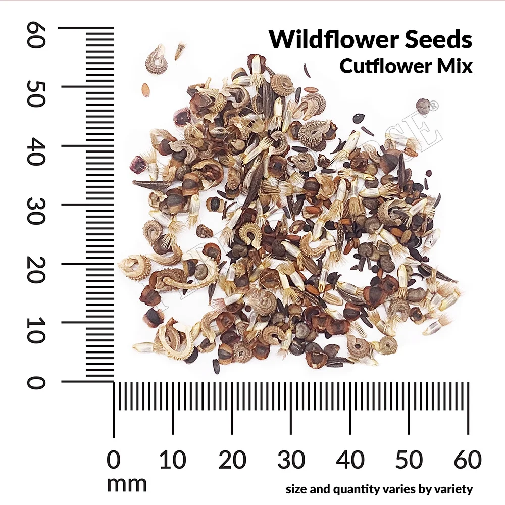 American Seed 1G Wildflower Perrennial Mix Flower Seeds Full Sun
