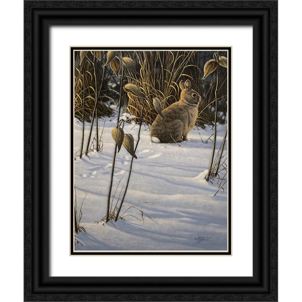 Goebel, Wilhelm 12x14 Black Ornate Wood Framed with Double Matting Museum Art Print Titled - Winter Cottontail