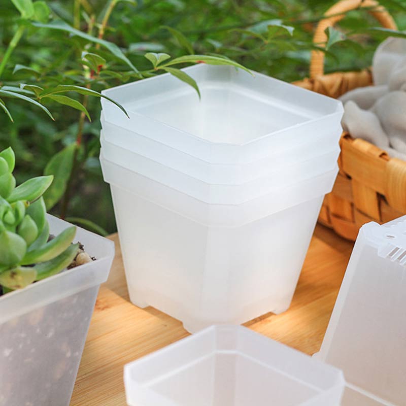 1/3Pcs 7/10cm Mini Transparent Flower Pots Corrosion Resistance Plastic Planters Grow Succulents Nursery Box Seedling Tray