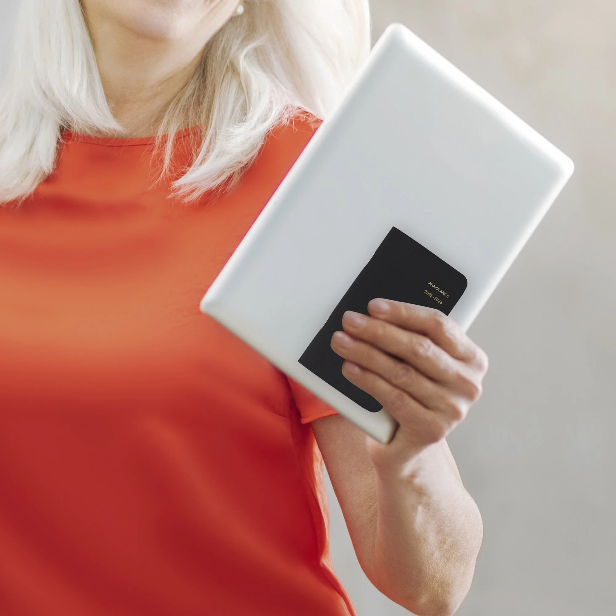 AT-A-GLANCE 2025-2026 Two Year Monthly Planner Black Pocket 3 12 x 6 - Monthly