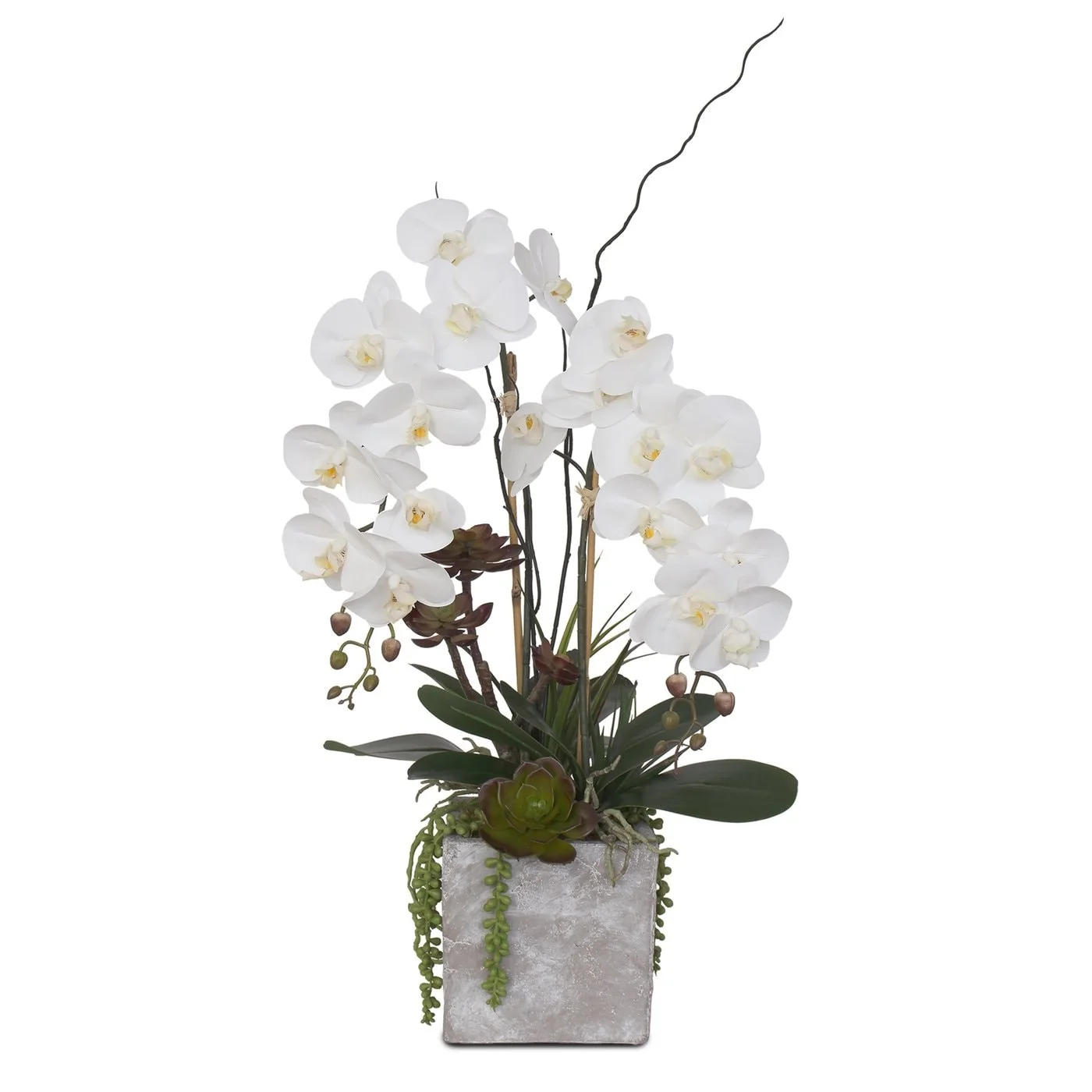 F-117 Real Touch White Orchid with Succulent Arrangement in Square Stone Pot - 15W x 12D x 21H