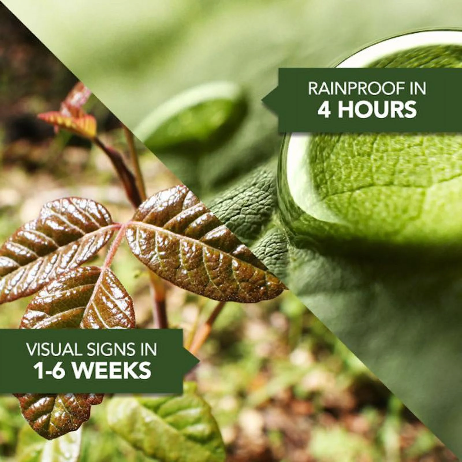 Bayer Advanced Ready-to-Use Brush Killer Plus, 1.3 Gallon