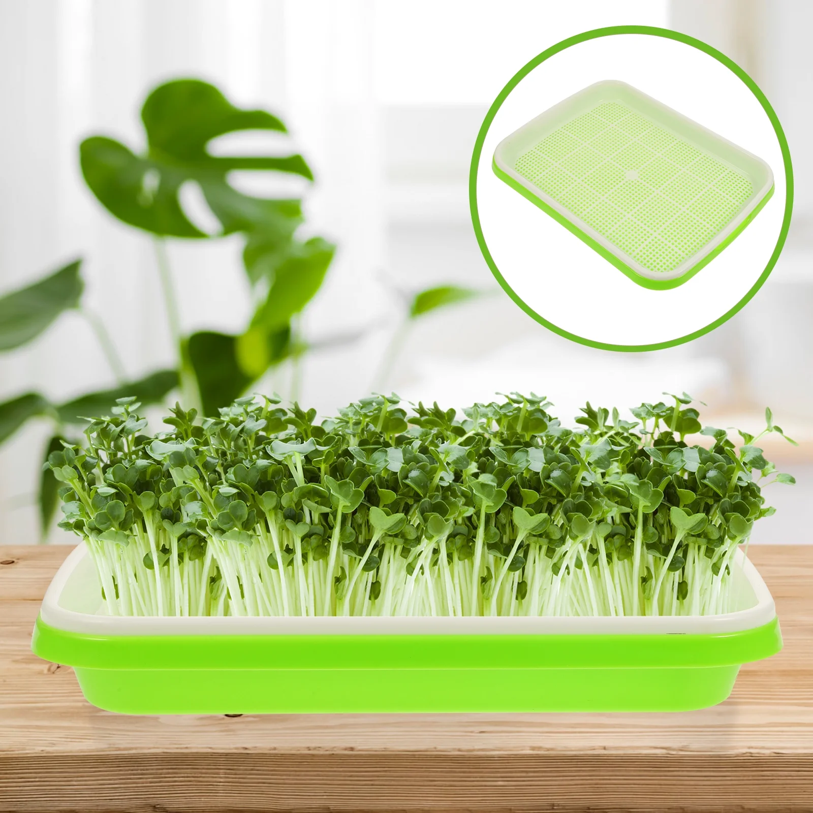 3Pcs Premium Nursery Tray Hydroponic Germinating Tray Garden Plastic Nursery Tray