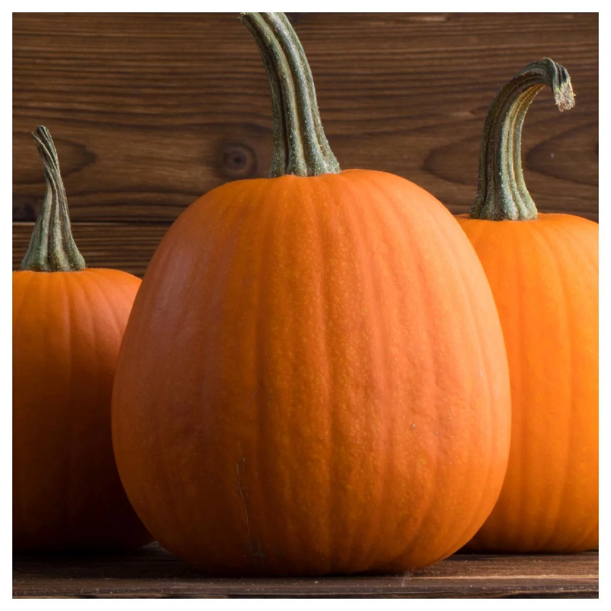 Everwilde Farms - 1/4 lb Organic Jack O Lantern Pumpkin Seeds - Gold Vault Bulk Seed Packet