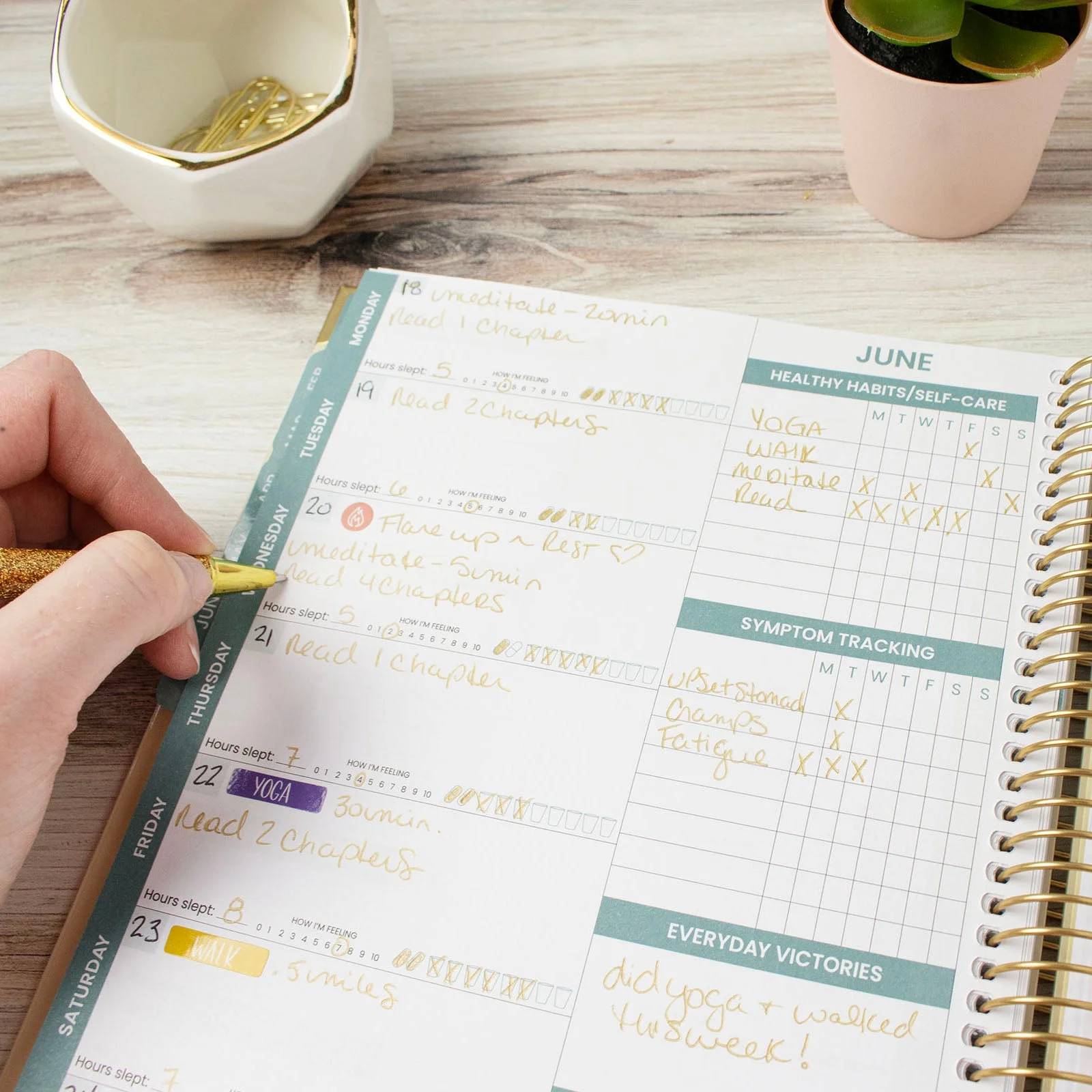 bloom daily planners Chronic Illness Planner, You Are Stronger Than You Think