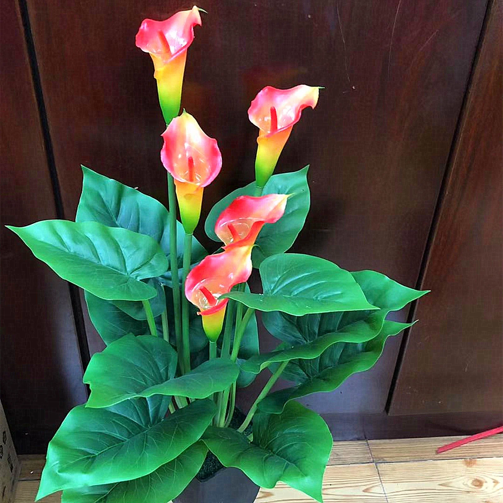 Calla Lily Bulbs, Calla Lily Bulbs Giant,Bulb Flowers,Calla Lily Plants,Calla Lily Plant Perinial,Calla Lily Bulbs Giant,Calla Lily Bulbs For Sale