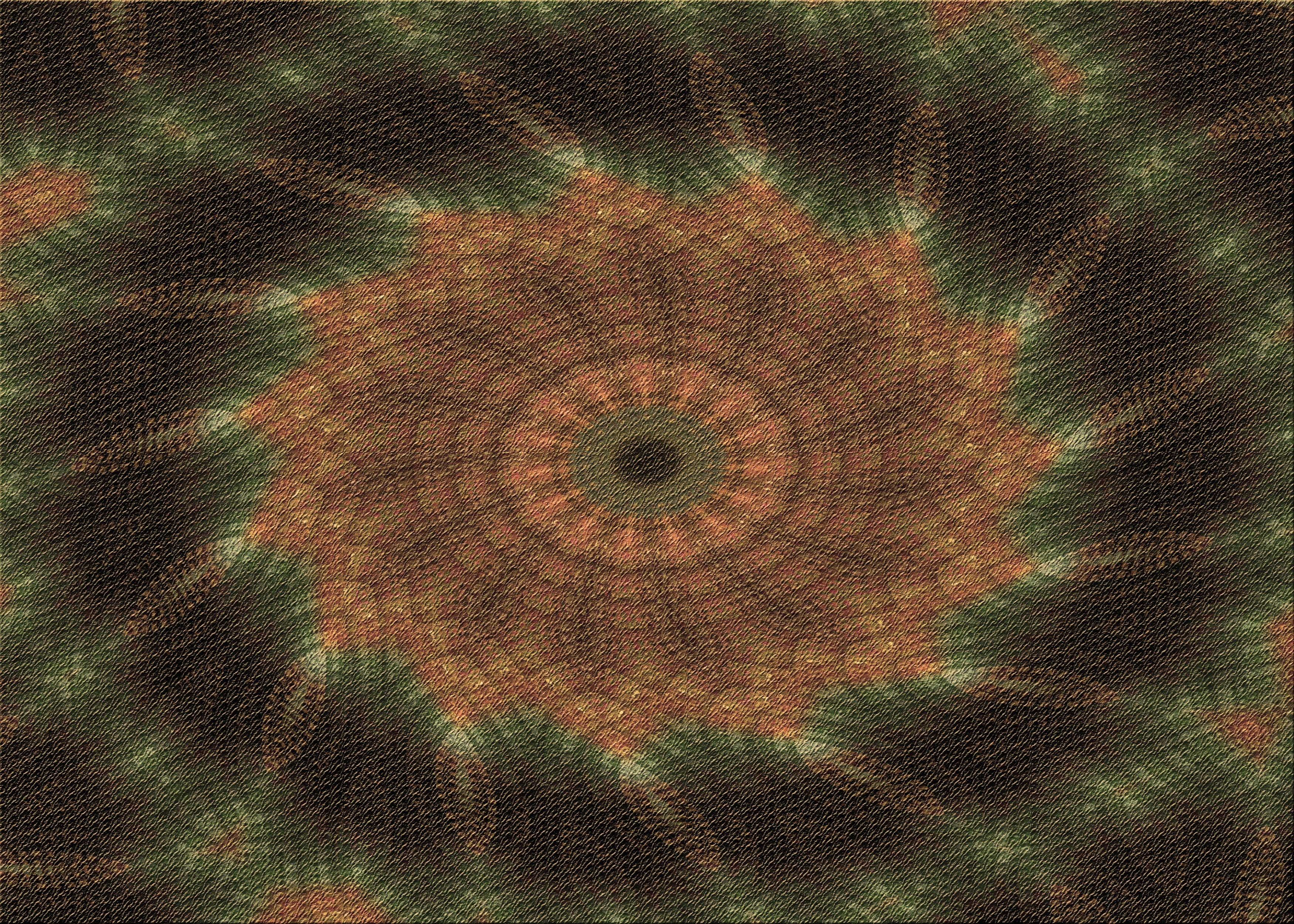 Ahgly Company Machine Washable Indoor Rectangle Transitional Oak Brown Area Rugs, 5' x 7'