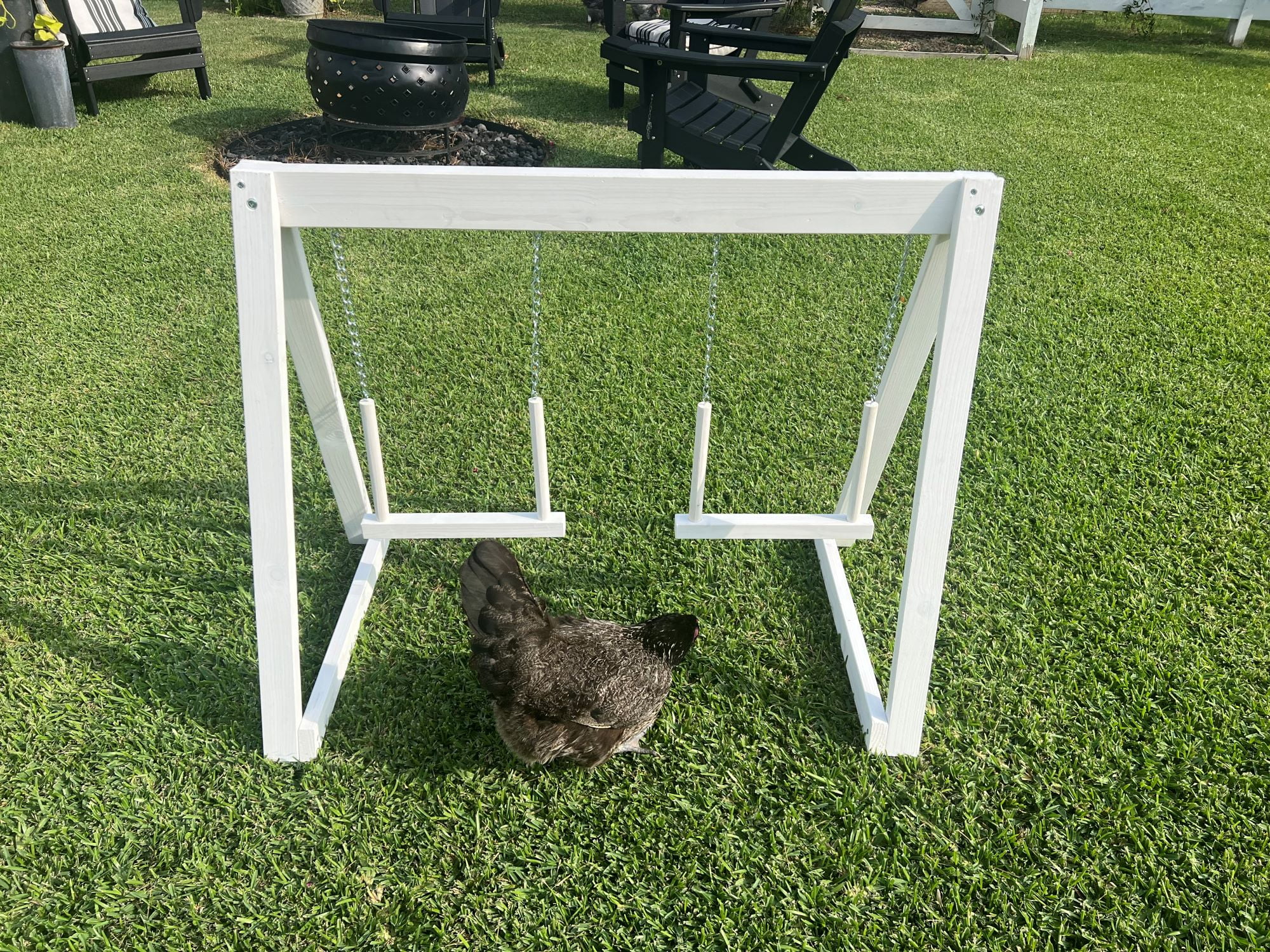 Zylina Play-N-Roost Double Swing