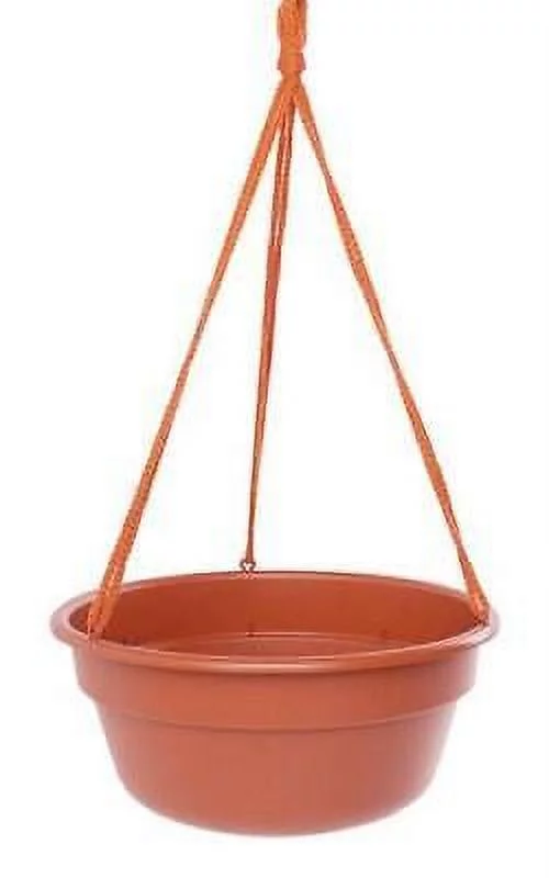 1 PC Bloem 6.8 in. H X 12.5 in. W X 12.4 in. D Resin Dura Cotta Hanging Basket Terracotta Clay