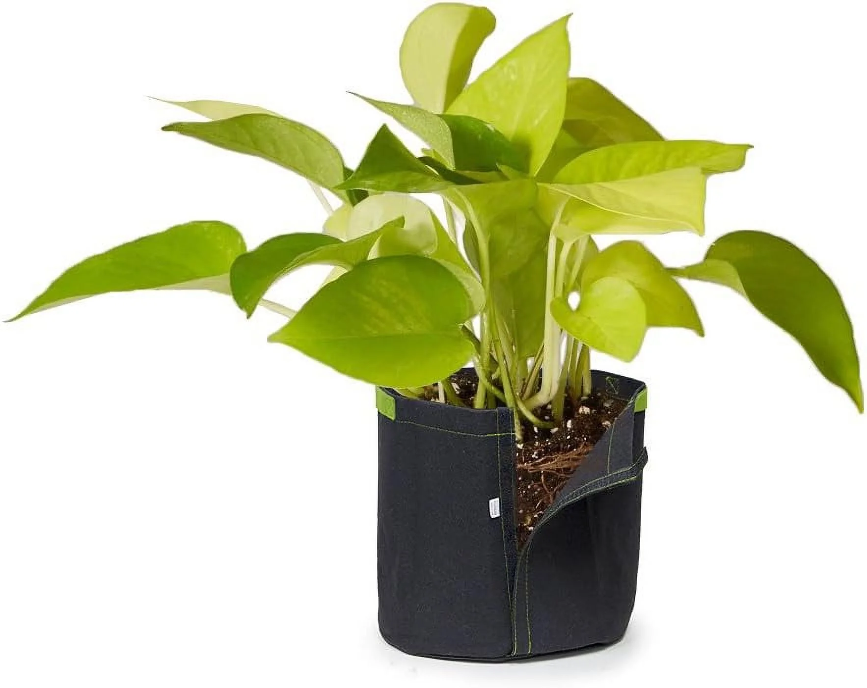 5pcs 2-Gallon Transplanter Fabric Pots, 5-Packs Reusable Planters Nursery Aeration Grow Bags, -Seamed w/Handles (Black)