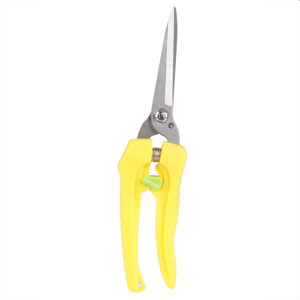 Rankomu Pruning Scissors, 205mm Plant Pruning Scissors Fruit Pruning Scissors Garden Bonsai Flower Fruit Trimming Cutter Shears Fruit Scissors
