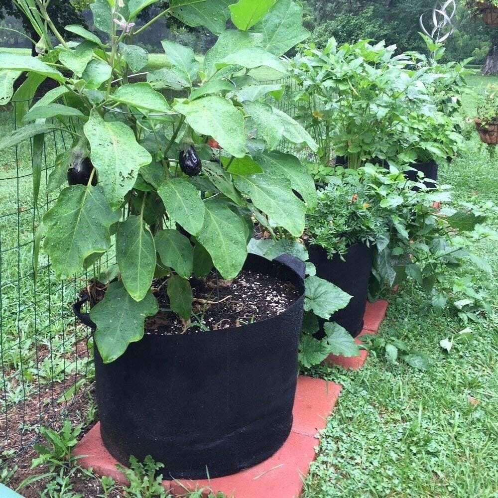 Black Plastic Plant Pots 1 2 3 4 5 7.5 10 12 15 20 Litre Large Flower Pot Strong