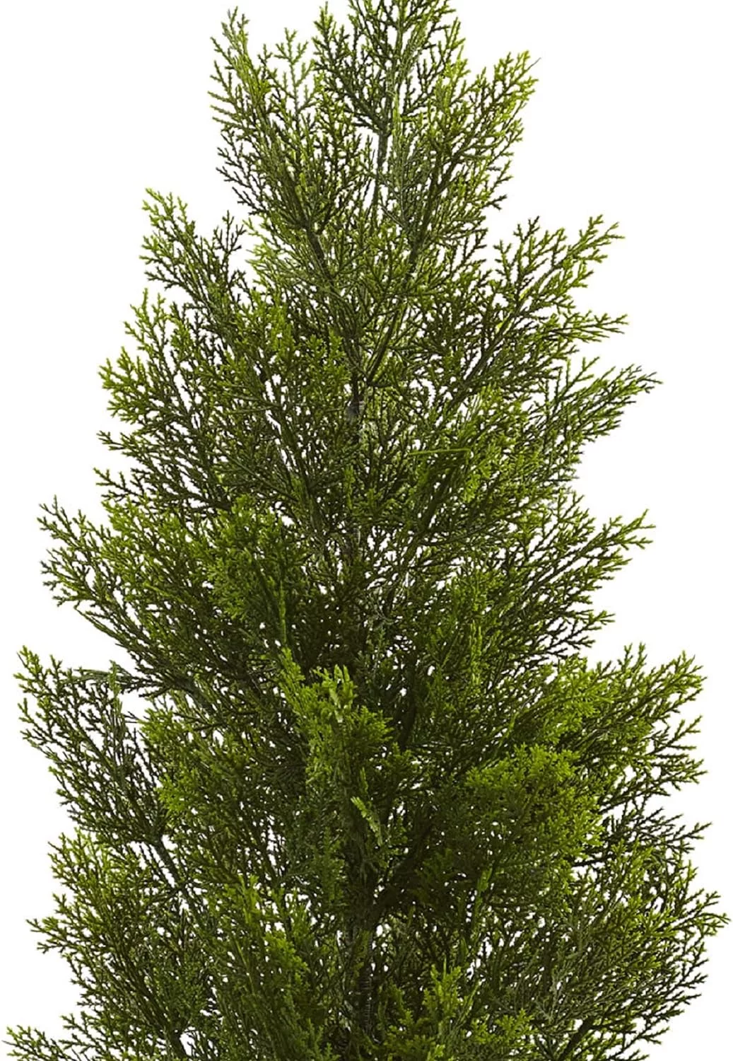 Mini Cedar Pine Tree (Indoor/Outdoor)