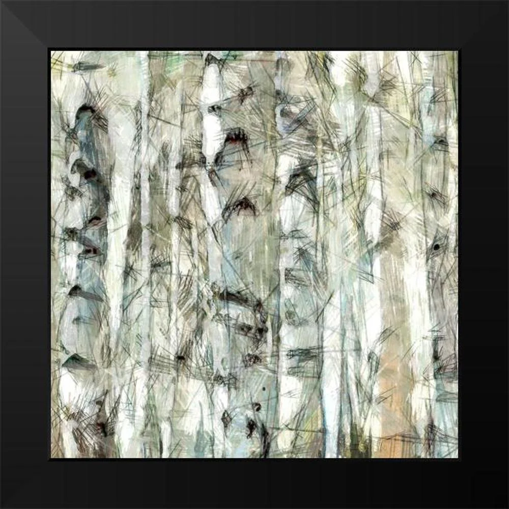 Saunders, Alonzo 12x12 Black Modern Framed Museum Art Print Titled - Birch Bunch III