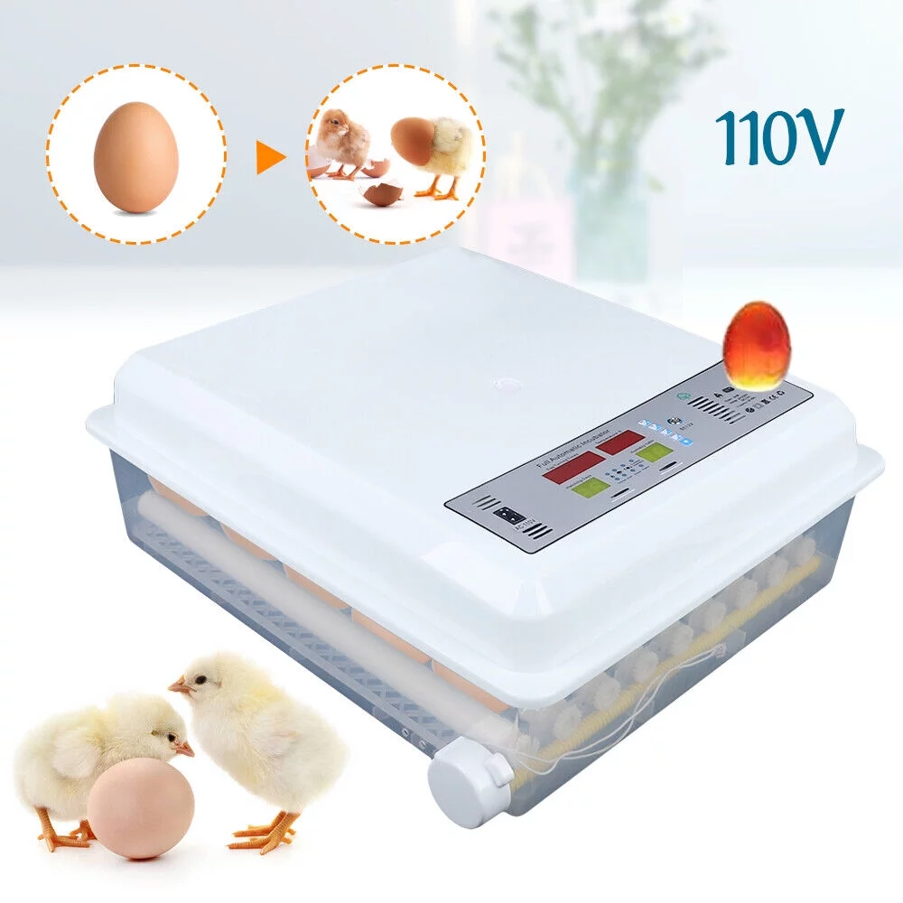 Egg Incubator 64 Eggs Fully Digital Automatic Hatcher for Hatching Chicken Farm